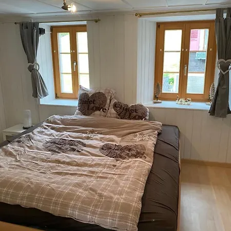 Gemutliche Walliserwohnung In Zentraler Lage
